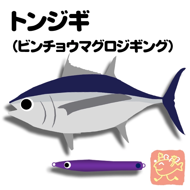 あいや〜ロング 300g タナジグ TanaJigトンジギ 甲高い マグロジギング ビンチョウ キハダ ジグ ケイムラ